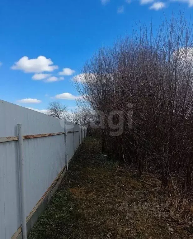 Участок в Тюменская область, Тюмень Рябинка-2 садовое товарищество, ... - Фото 1