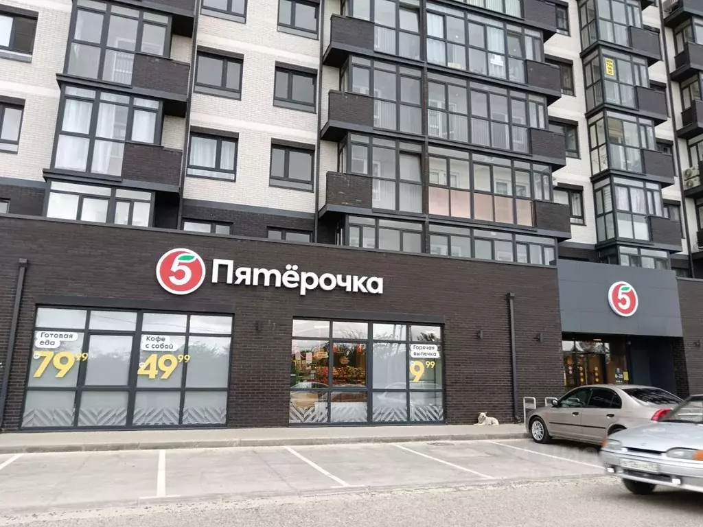 Студия Краснодарский край, Темрюк Дальняя ул., 30 (25.0 м) - Фото 0