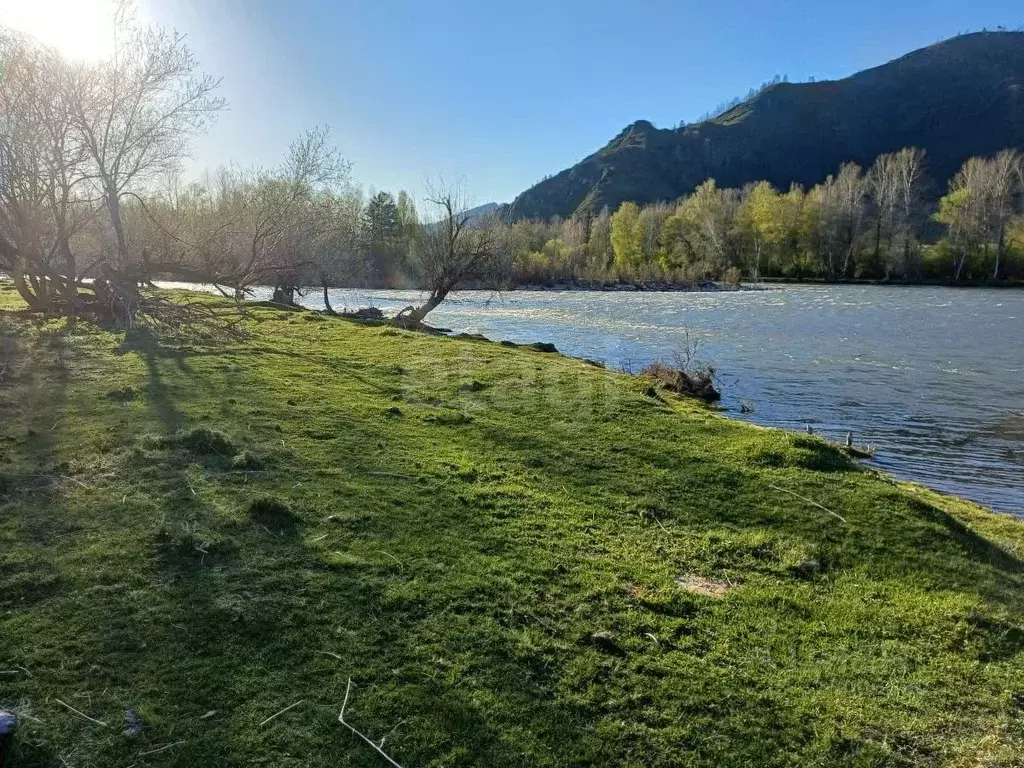 Участок в Алтай, Усть-Канский район, с. Владимировка Центральная ул. ... - Фото 1