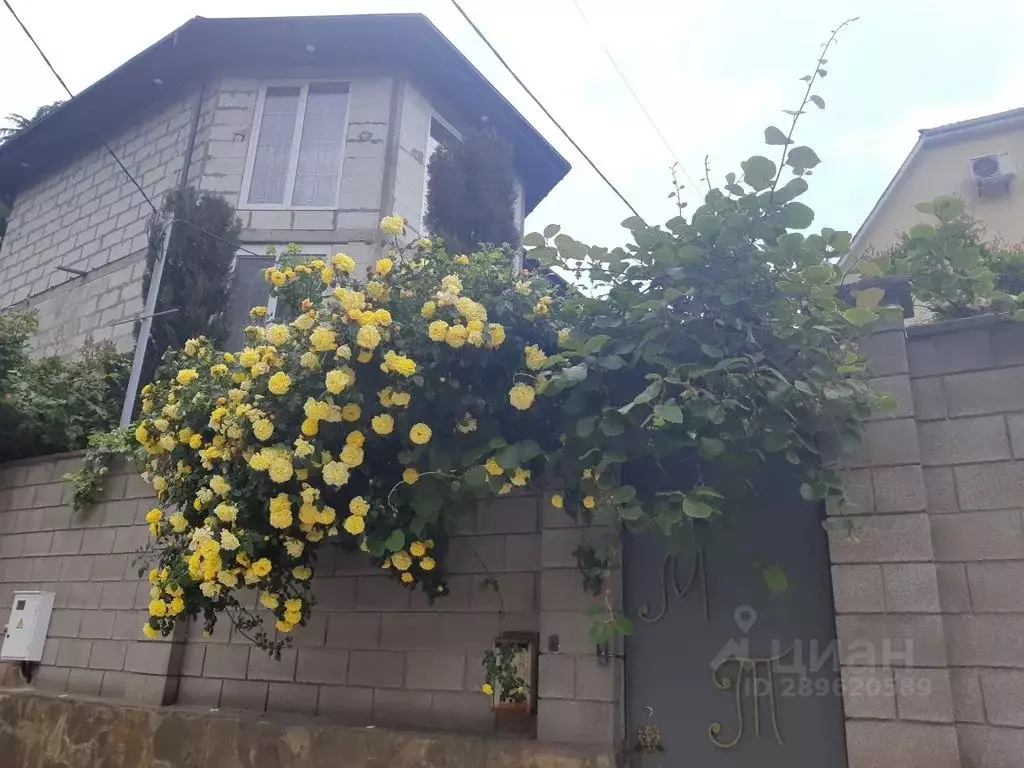 Комната Крым, Ялта муниципальный округ, Никита пгт ш. Южнобережное, 33 - Фото 2