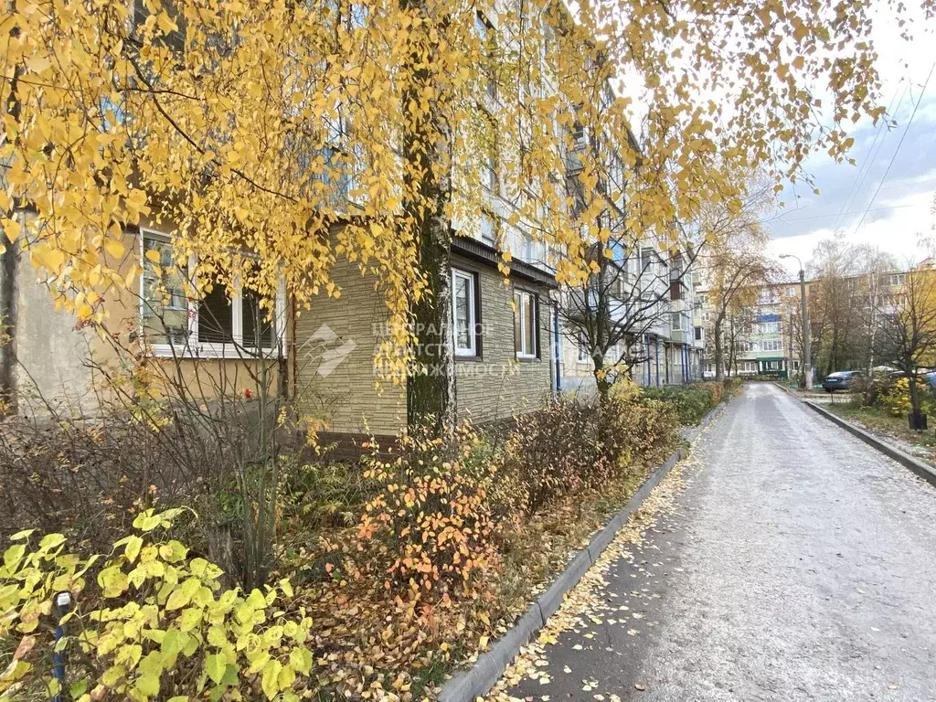 3-к кв. Рязанская область, Скопин АЗМР мкр, 16 (50.4 м) - Фото 1