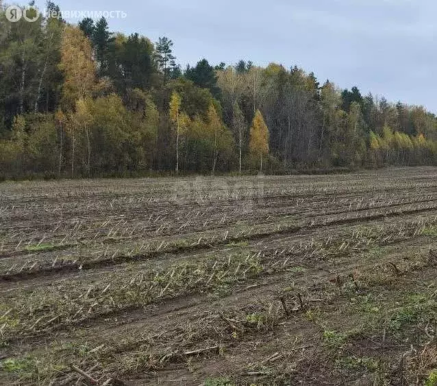 Участок в деревня Добрунь, Парковая улица (98.54 м) - Фото 0