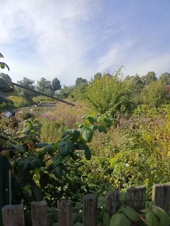 2-к кв. Калужская область, Козельск ул. Сенина, 32 (63.0 м) - Фото 2