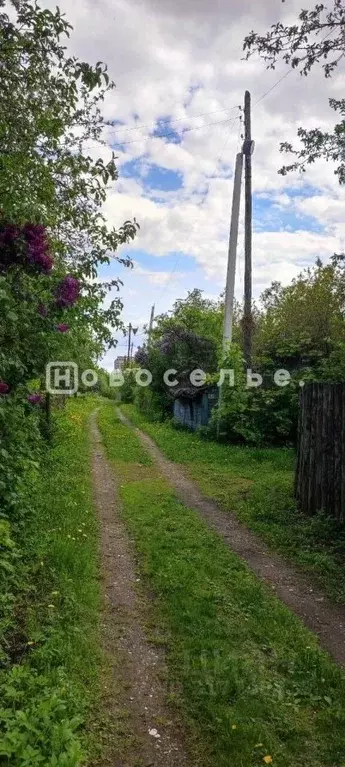 Участок в Рязанская область, Рязань Сад № 4 СТ, 96 (6.0 сот.) - Фото 1