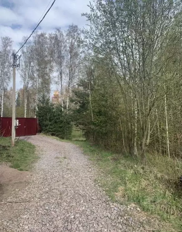 Участок в Ленинградская область, Всеволожский район, Колтушское ... - Фото 2