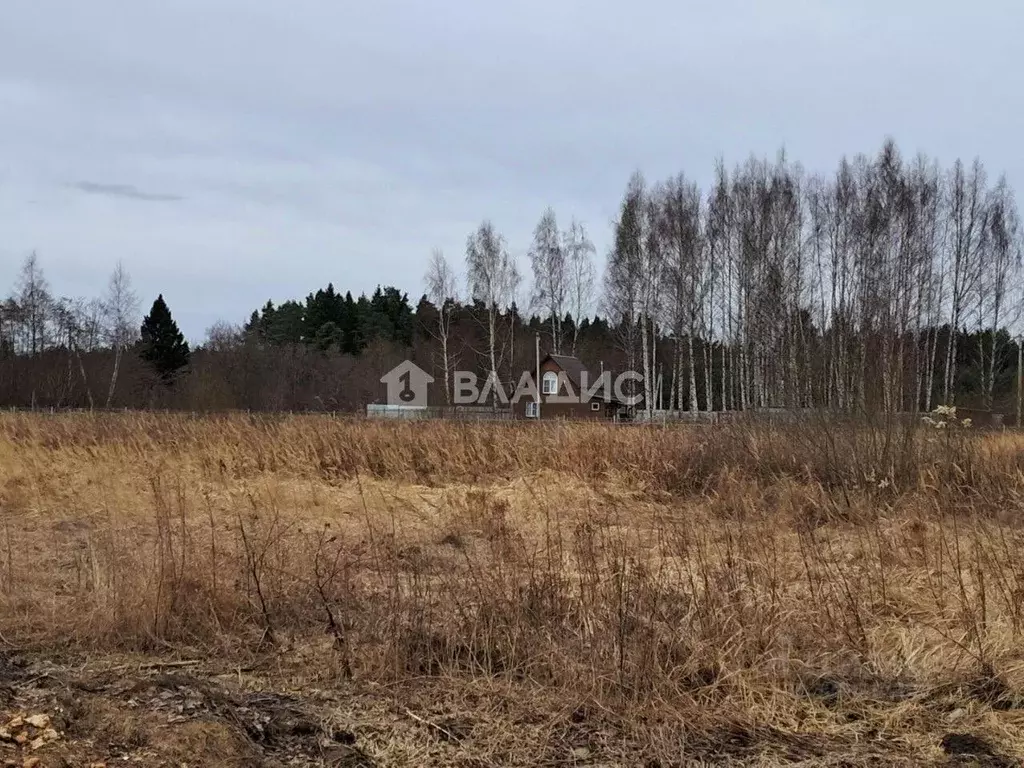 Участок в Владимирская область, Собинский муниципальный округ, д. ... - Фото 2
