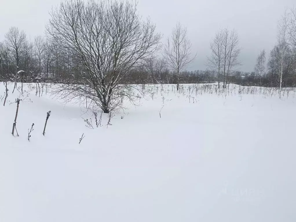 Участок в Московская область, Истра городской округ, с. Новопетровское ... - Фото 1