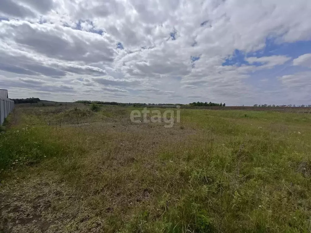 Участок в Белгородская область, Вейделевка рп ул. Каштановая (13.2 ... - Фото 0