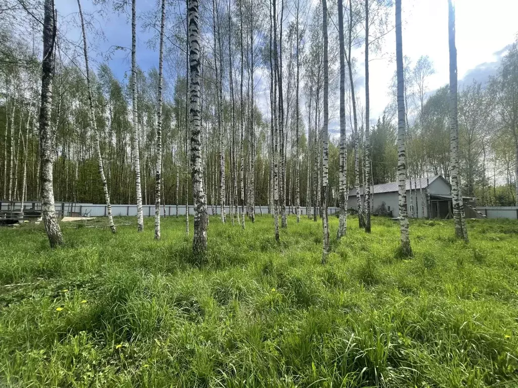 Участок в Москва д. Милюково, ул. Русская Деревня, 81 (8.0 сот.) - Фото 1