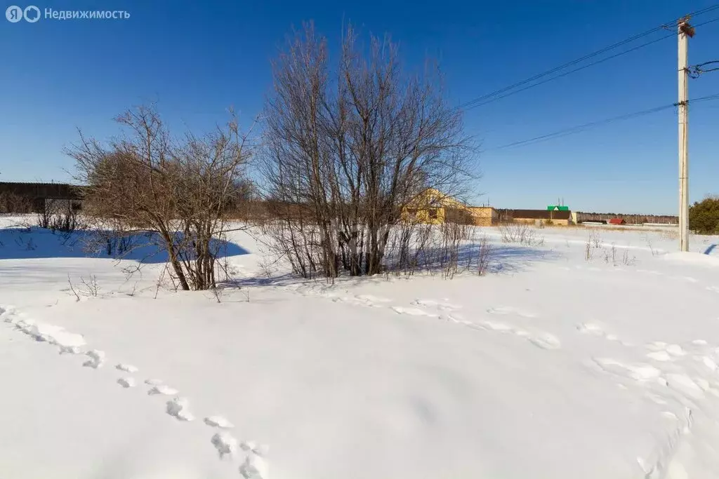 Участок в Заводоуковск, СНТ Колос (9 м) - Фото 0