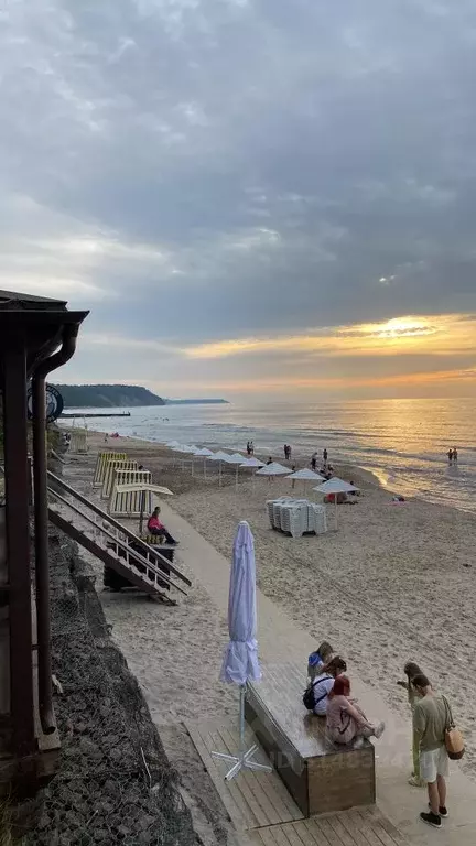 Участок в Калининградская область, Зеленоградск пос. Клинцовка,  (4.0 ... - Фото 1