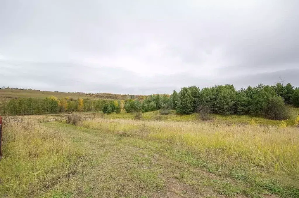 Участок в Нижегородская область, Дальнеконстантиновский муниципальный ... - Фото 1