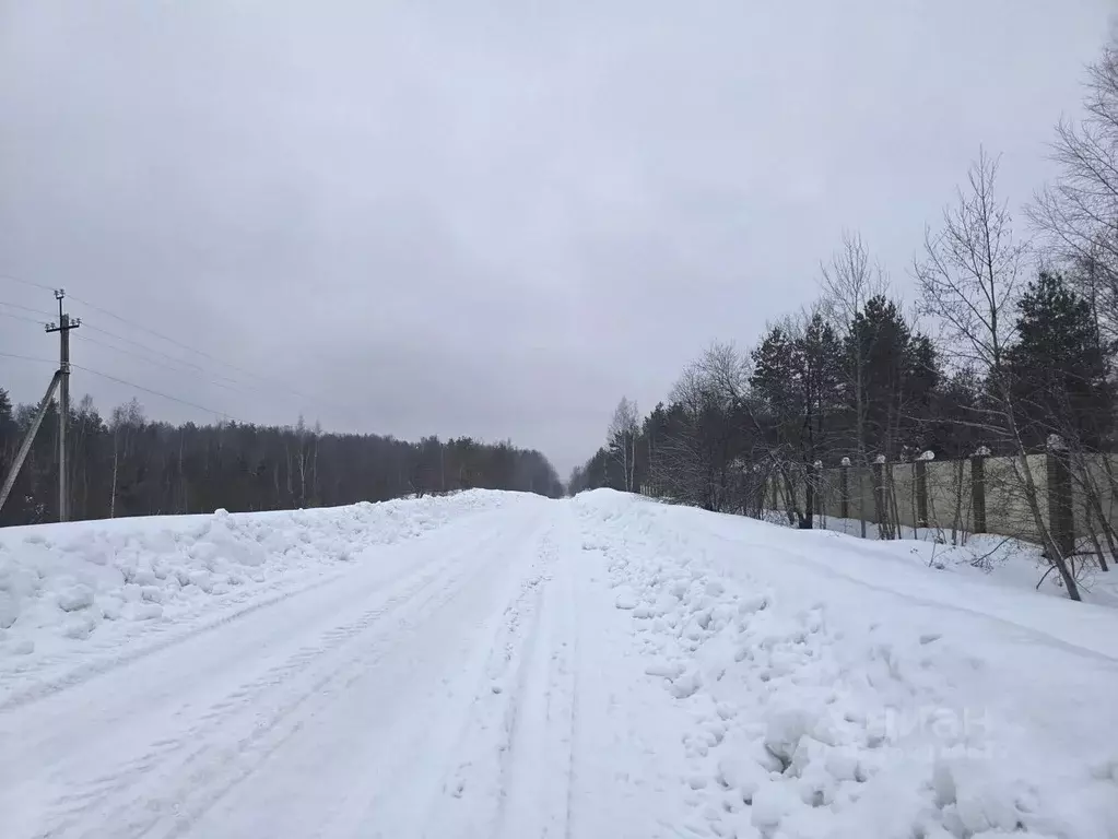 Участок в Владимирская область, Александровский муниципальный округ, ... - Фото 1