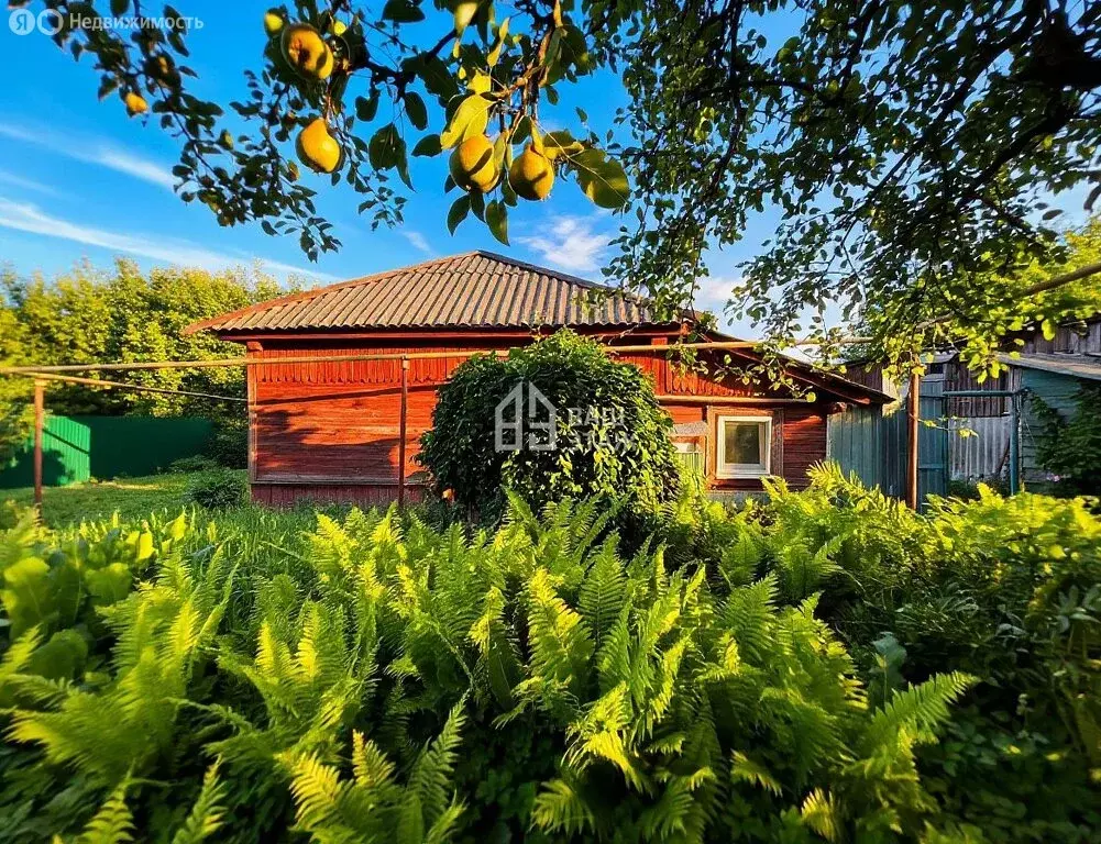 Дом в Сухиничи, улица Чкалова, 39 (57 м) - Фото 1