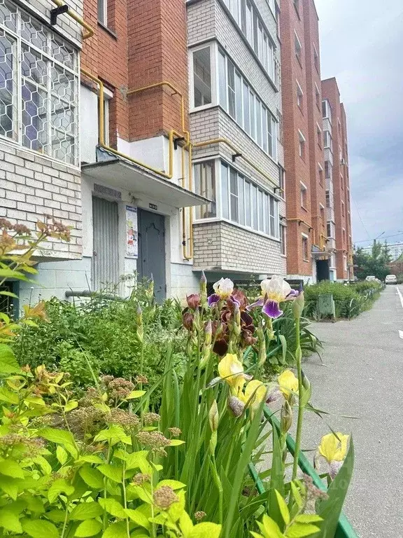 1-к кв. Чувашия, Чебоксары ул. Константина Иванова, 88 (47.0 м) - Фото 0