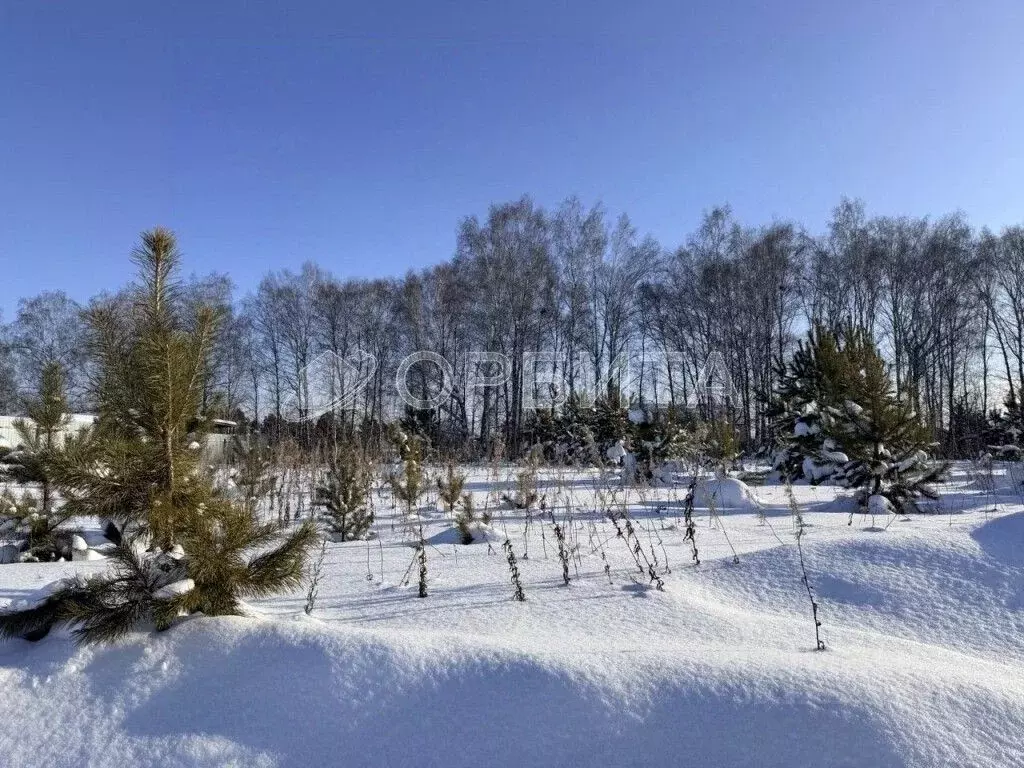 Участок в Тюменская область, Тюменский муниципальный округ, д. Елань ... - Фото 2
