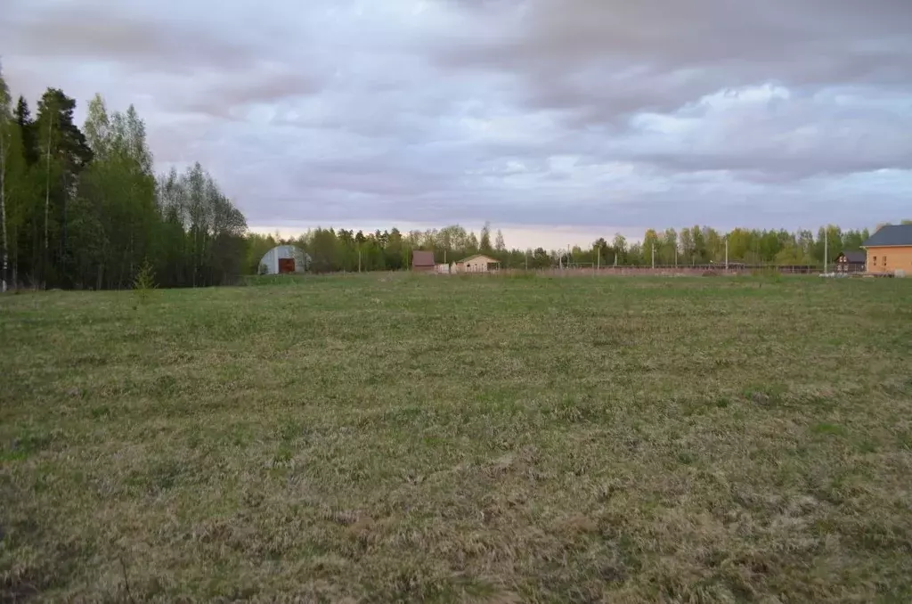 Участок в Новгородская область, Новгородский район, Савинское с/пос, ... - Фото 0