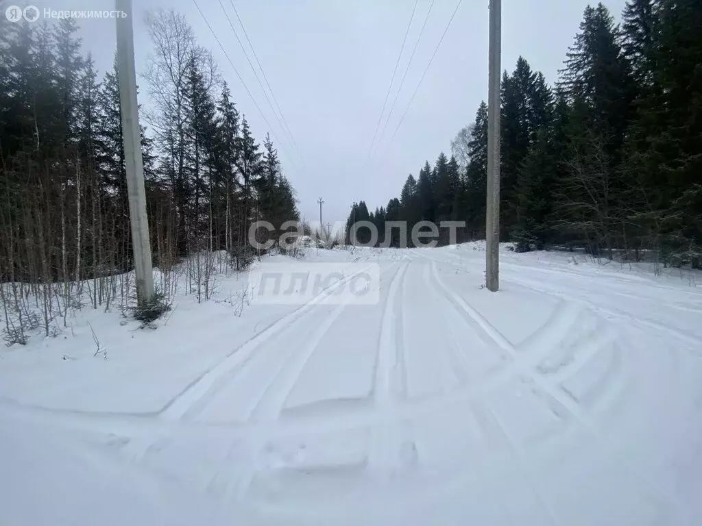 Участок в Свердловская область, посёлок городского типа Шаля (14.91 м) - Фото 1