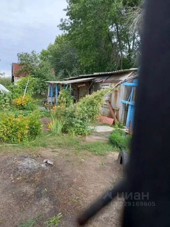 Дом в Оренбургская область, Оренбургский район, Нежинский сельсовет, ... - Фото 2