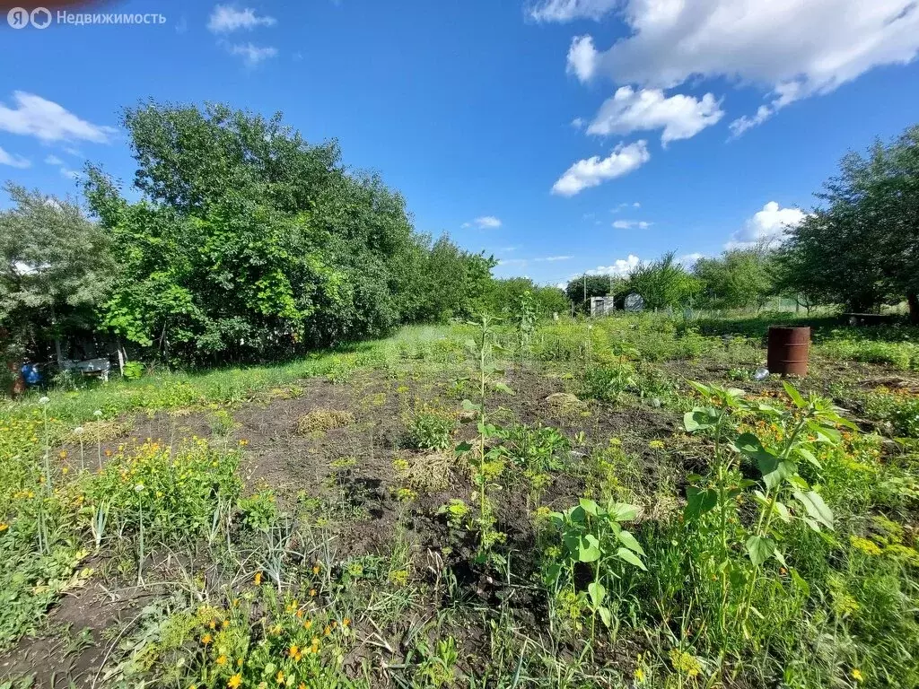 Дом в Белгородский район, СДТ Рассвет (24 м) - Фото 2