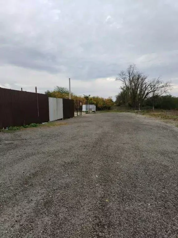 Участок в Краснодарский край, Динской район, Нововеличковское с/пос, ... - Фото 1