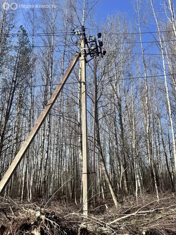 Участок в Всеволожский район, Колтушское городское поселение, деревня ... - Фото 1