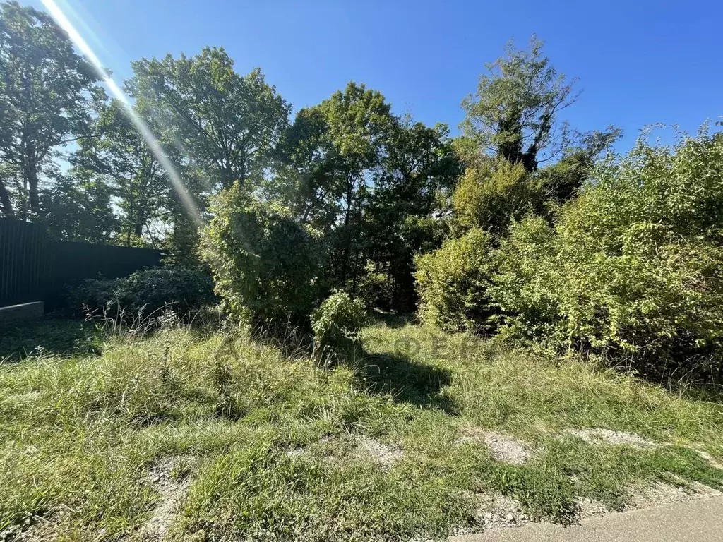 Участок в Краснодарский край, Туапсинский муниципальный округ, пос. ... - Фото 2