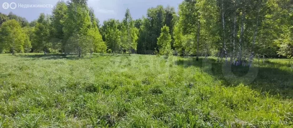 Участок в Каменский сельсовет, ДНТ Каменский Оазис, Садовая улица (8 ... - Фото 2