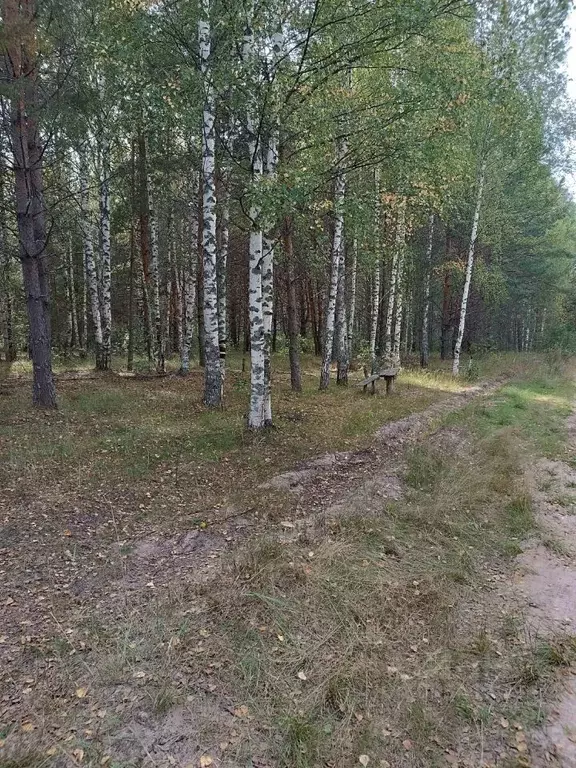 Участок в Московская область, Богородский городской округ, д. Жилино  ... - Фото 0