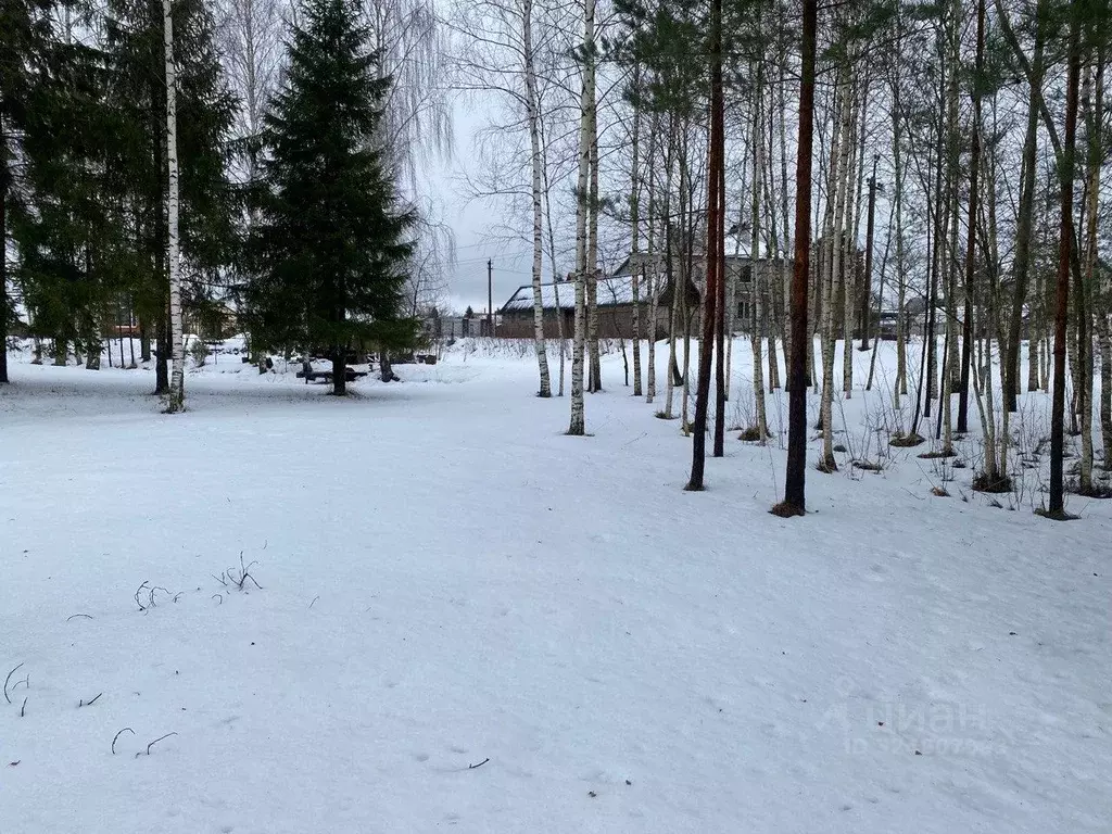 Участок в Псковская область, Псковский район, Тямшанская волость, д. ... - Фото 2