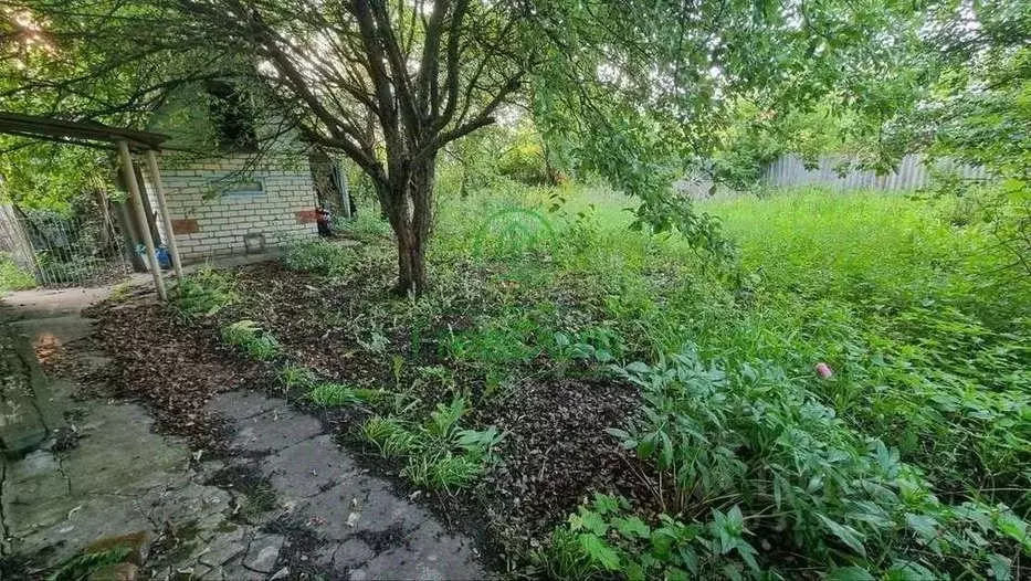 Участок в Белгородская область, Строитель Яковлевский городской округ, ... - Фото 1