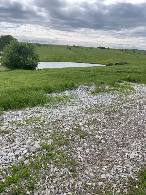 Участок в Кемеровская область, Кемерово Ягуновский жилрайон,  (12.0 ... - Фото 2