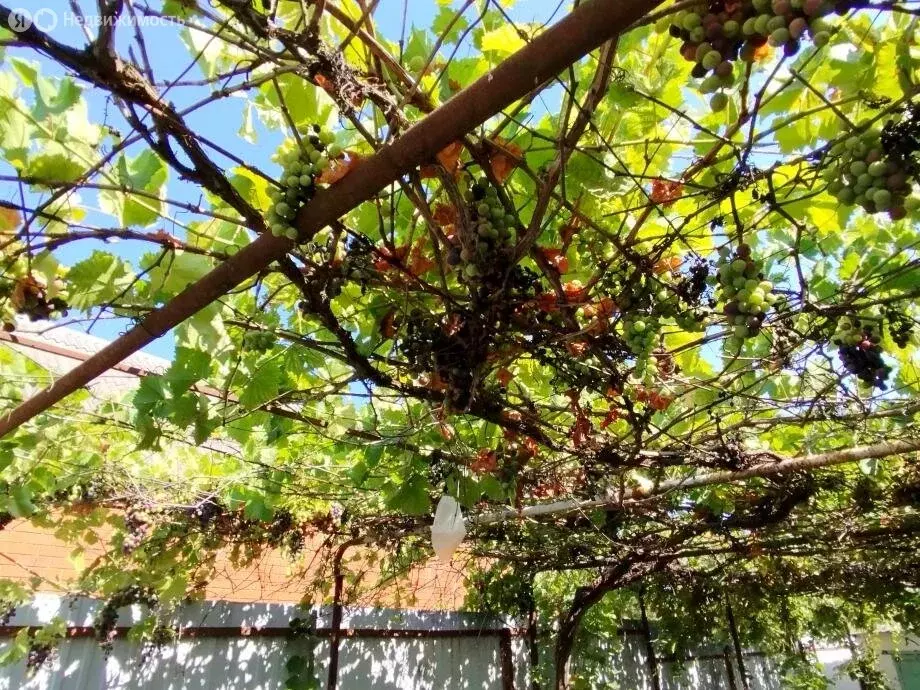 Дом в Темрюкский район, Фонталовское сельское поселение, посёлок ... - Фото 1