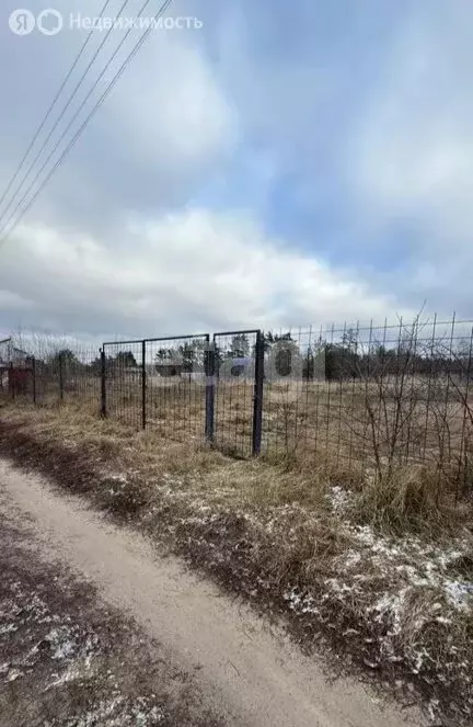 Участок в Рамонский район, Новоживотинновское сельское поселение, СНТ ... - Фото 2