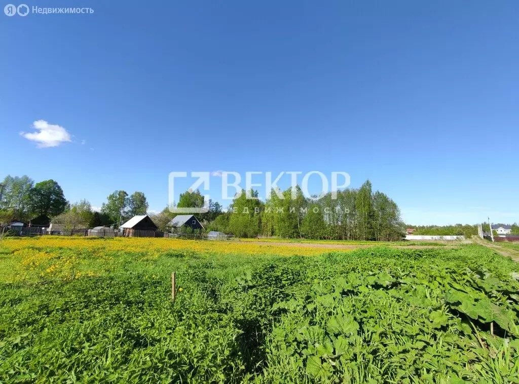 Участок в Костромской район, Бакшеевское сельское поселение, деревня ... - Фото 0