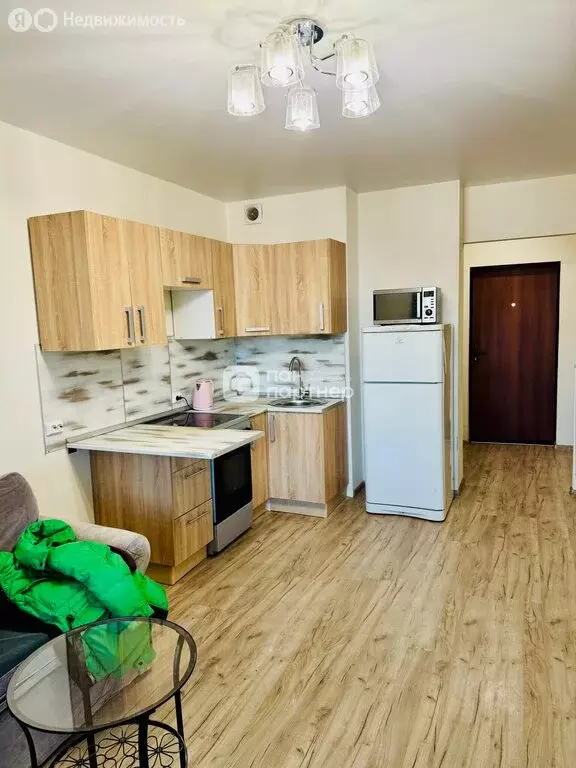 Квартира-студия: Мурино, проспект Авиаторов Балтики, 17 (24 м) - Фото 2