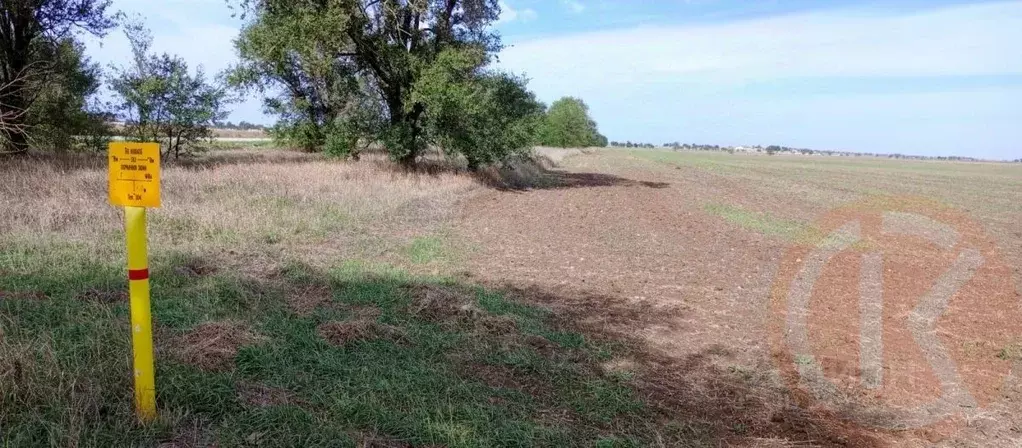 Участок в Крым, Сакский район, с. Добрушино  (131.0 сот.) - Фото 1