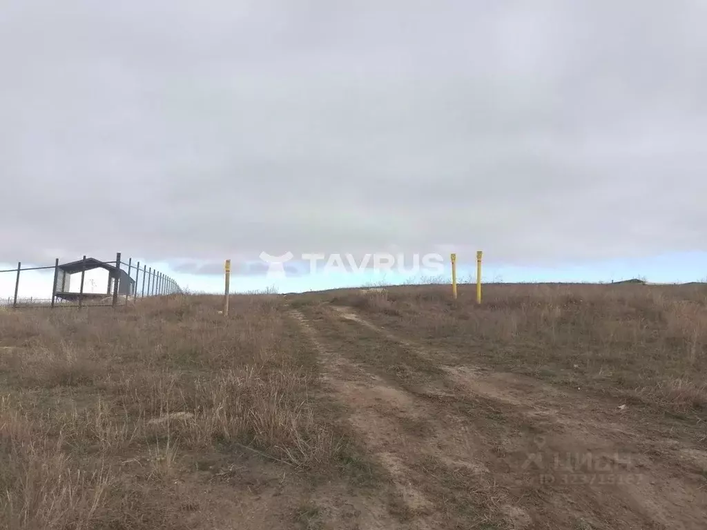 Участок в Крым, Симферопольский район, Добровское с/пос, с. Пионерское ... - Фото 1
