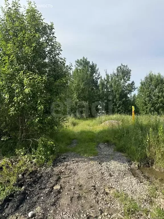 Участок в Санкт-Петербург, территория Горелово, Дачная улица (8 м) - Фото 2