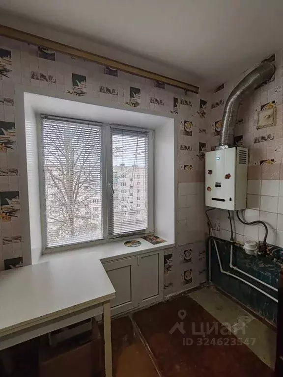 1-к кв. Орловская область, Мценский район, Отрадинское с/пос, с. ... - Фото 2