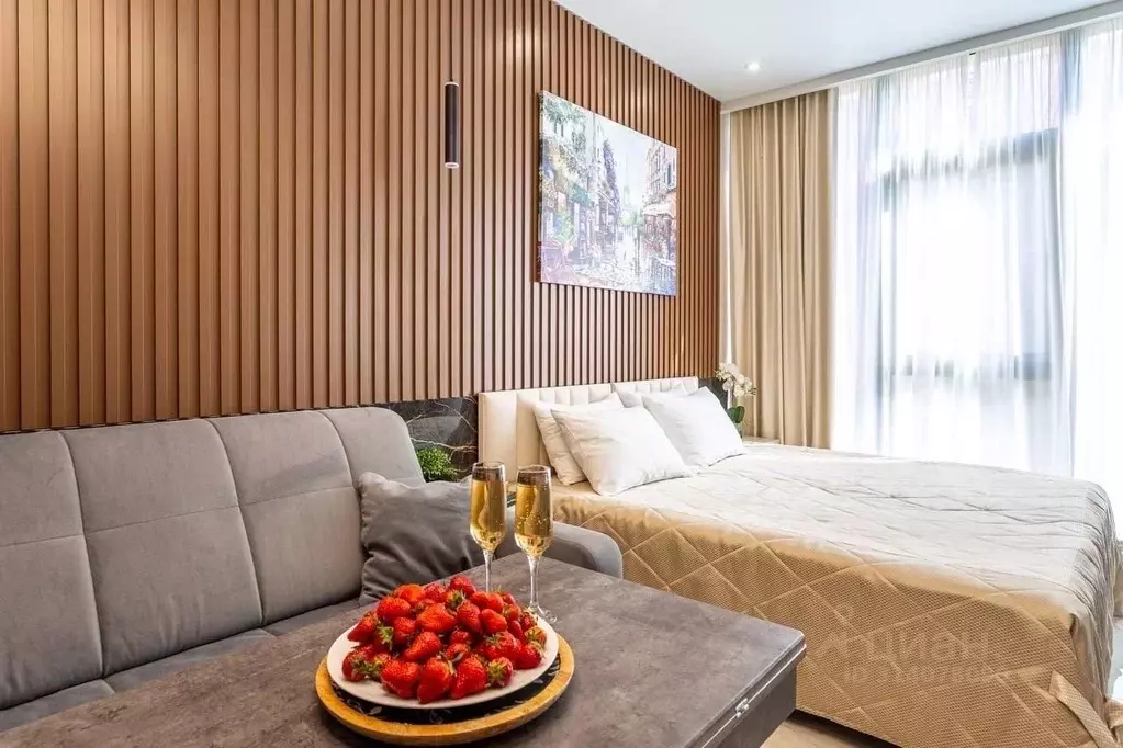 Студия Краснодарский край, Сочи Светлана мкр, ул. Депутатская, 10Б/1 ... - Фото 1