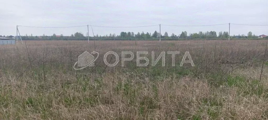 Участок в Тюменская область, Тюмень Яровское садовое товарищество, ул. ... - Фото 2
