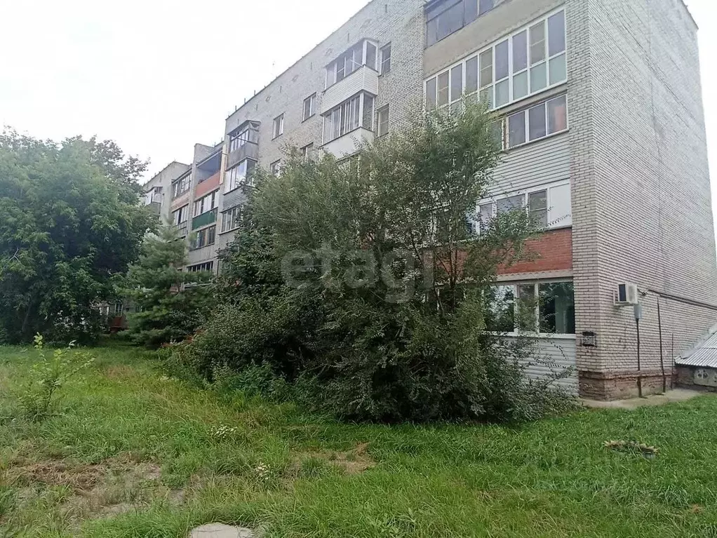 1-к кв. Новосибирская область, Обь Геодезическая ул., 72 (32.6 м) - Фото 0