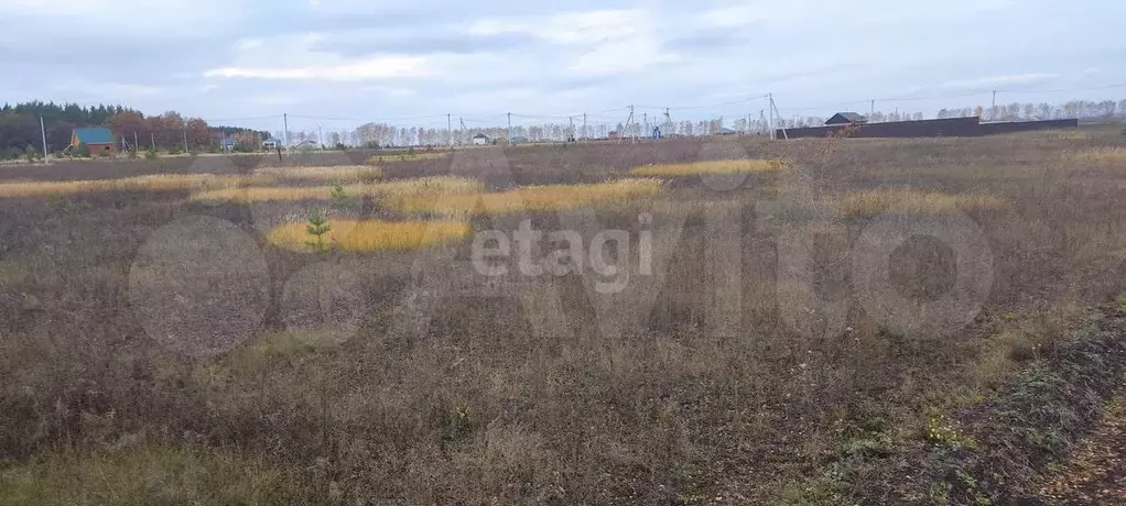 Участок 15 сот. (ИЖС) - Фото 1
