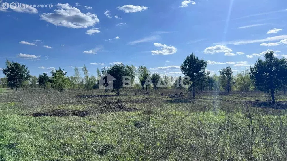 Участок в село Лукерьино, Садовая улица, 63 (12 м) - Фото 2