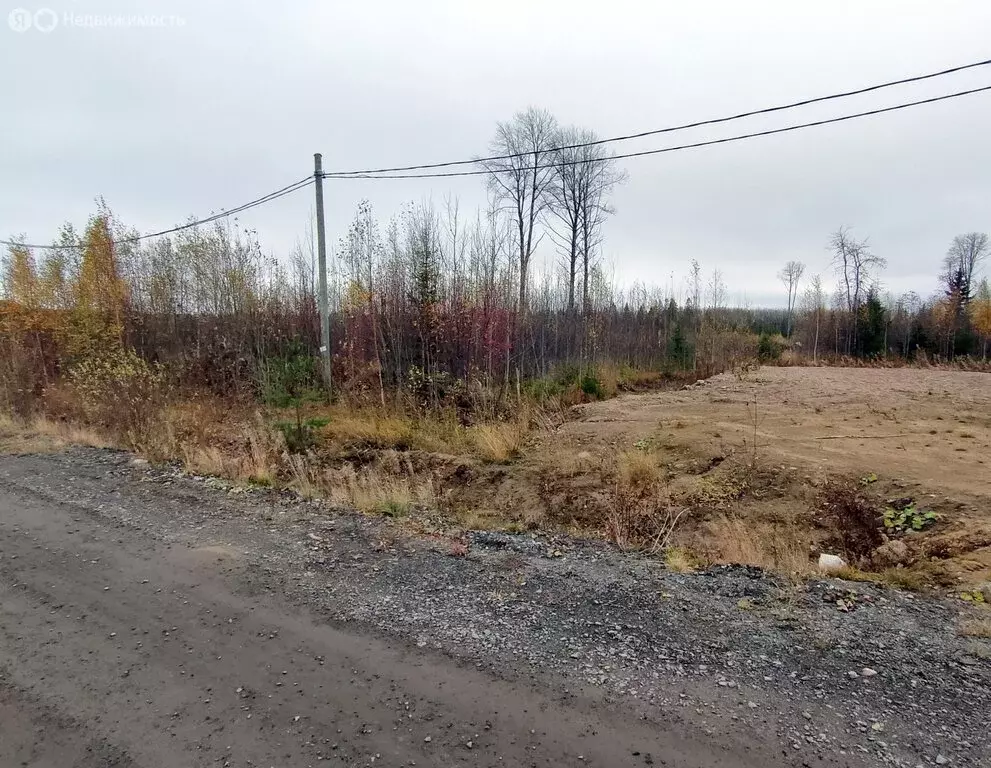 Участок в Петрозаводск, улица Алексея Фофанова (10 м) - Фото 1