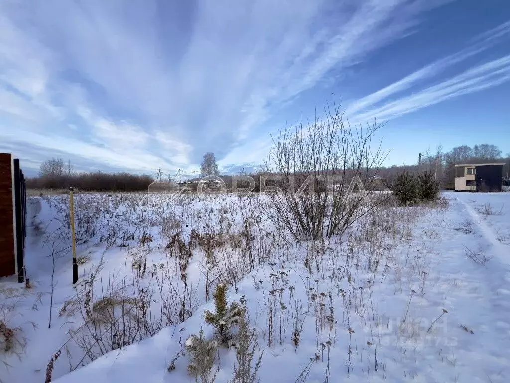 Участок в Тюменская область, Тюменский муниципальный округ, д. Елань, ... - Фото 1