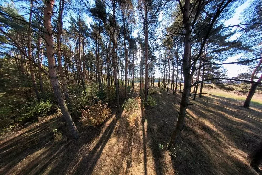 Участок в Богородский городской округ, КП Стулово (8.33 м) - Фото 1