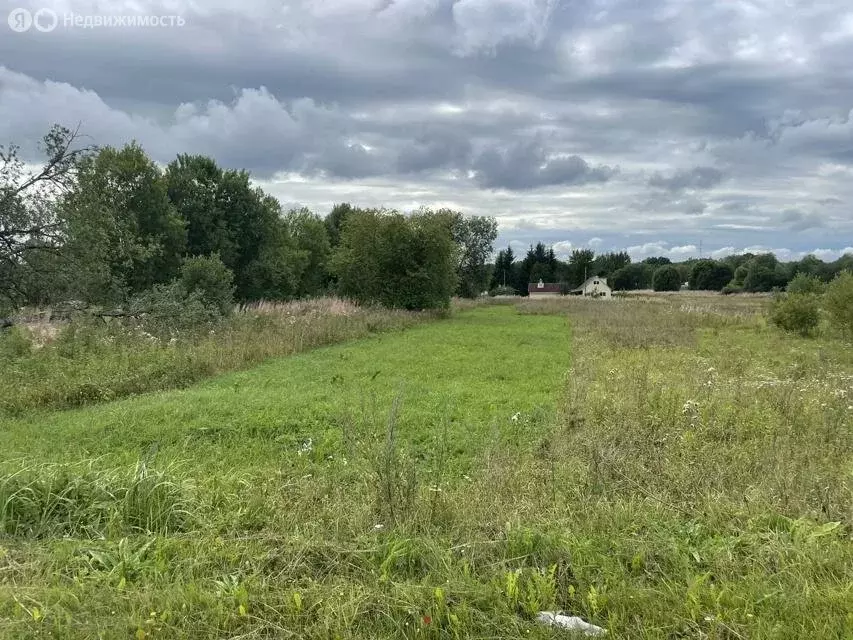 Участок в Волосовский район, Большеврудское сельское поселение, ... - Фото 2