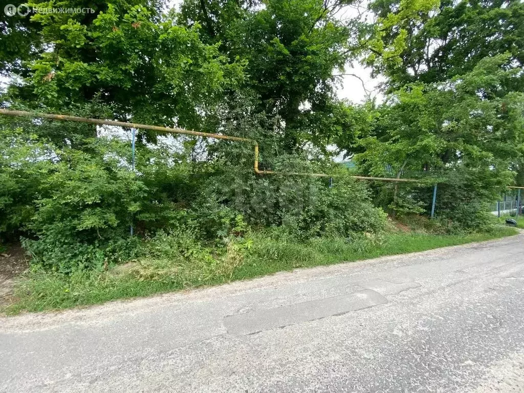 Участок в Белгородская область, Шебекинский муниципальный округ, ... - Фото 1